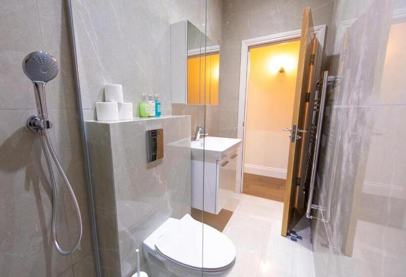Апартаменты Deluxe 1 Спальня, Ealing Residency