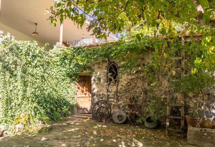 Номер Стандарт, Art Rooms Garni