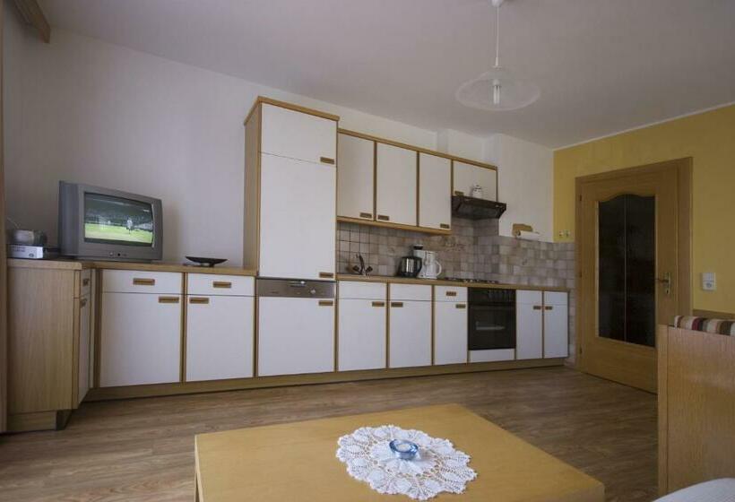 Апартаменты 1 Спальня с Балконом, Ferienwohnungen Haus Schett