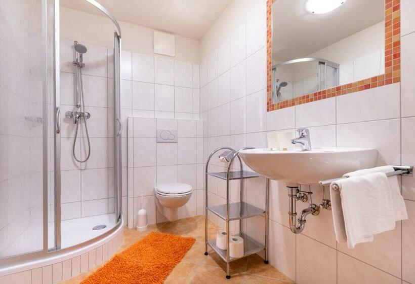 Апартаменты 1 Спальня с Балконом, Wechslerhof