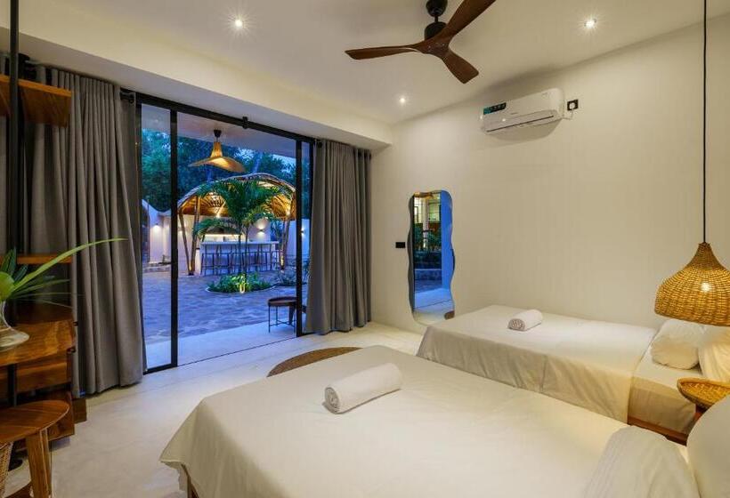 Номер Стандарт, Terra Resort