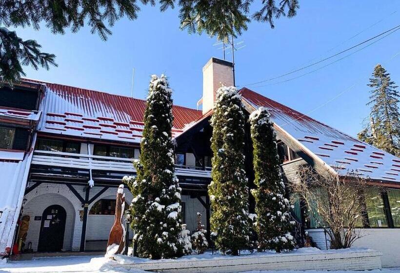 Апартаменты 1 Спальня, Breza Hotel Borovets