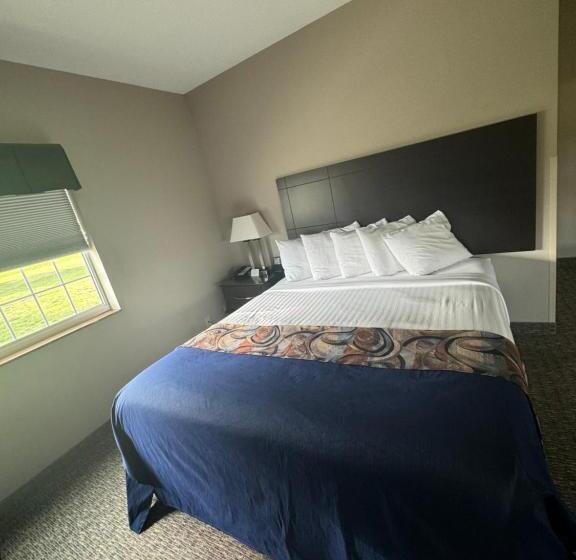 Люкс Кровать Кинг, Garner Inn & Suites