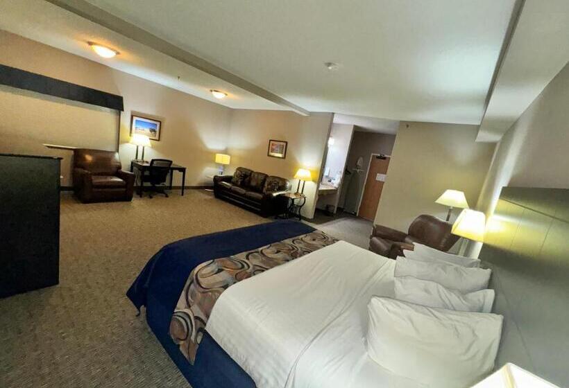 Люкс Deluxe Кровать Кинг, Garner Inn & Suites