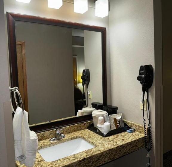 Люкс Кровать Кинг, Garner Inn & Suites