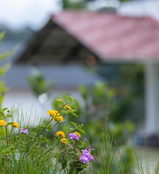 스탠다드 룸 가든 전망, Le Serene Munnar Resorts & Spa
