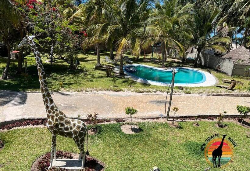 스탠다드 룸, New Giraffe House