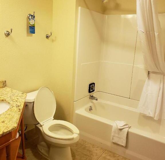 חדר דחוקס עם מיטת קינג, Victoryhotel Suites