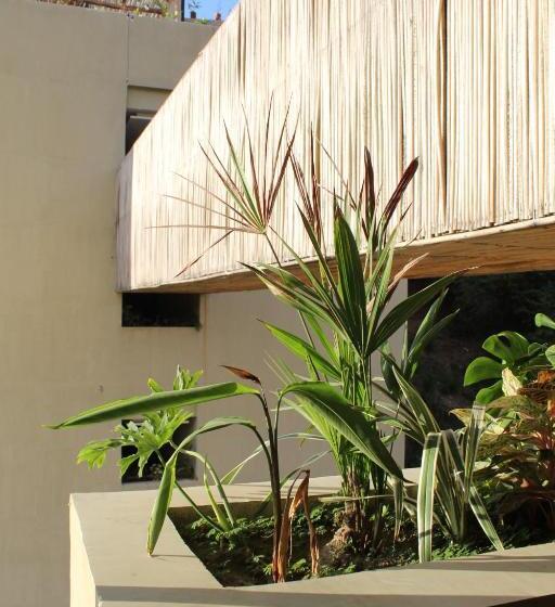 Suite, Maramara More To Live