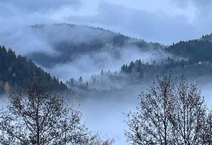 Номер Стандарт, Maison D Hôtes Chaleureuse En Montagne, Proche De La Bresse Hohneck Et Gérardmer, Idéale Pour Randon