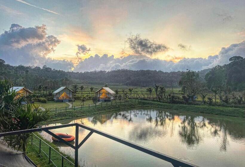 Стандартный Номер Кровать Кинг, Redberry S Luxury Stay Coorg