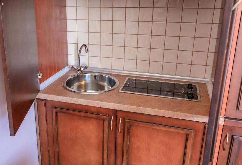 استودیو استاندارد با تراس, Villa Favorite