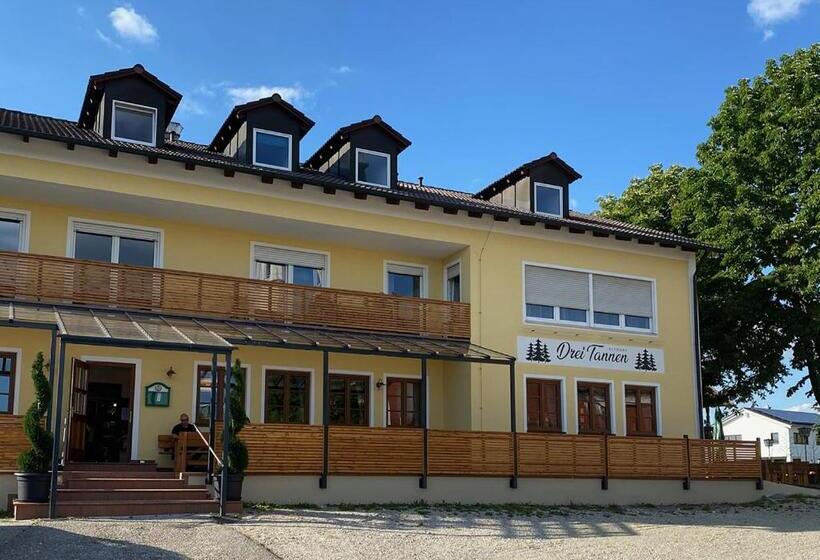 Номер Стандарт Индивидуальный, Gasthof Hotel Drei Tannen Altdorf
