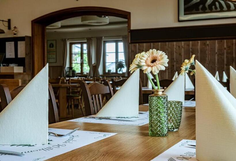 חדר סטנדרט, Gasthof Hotel Drei Tannen Altdorf