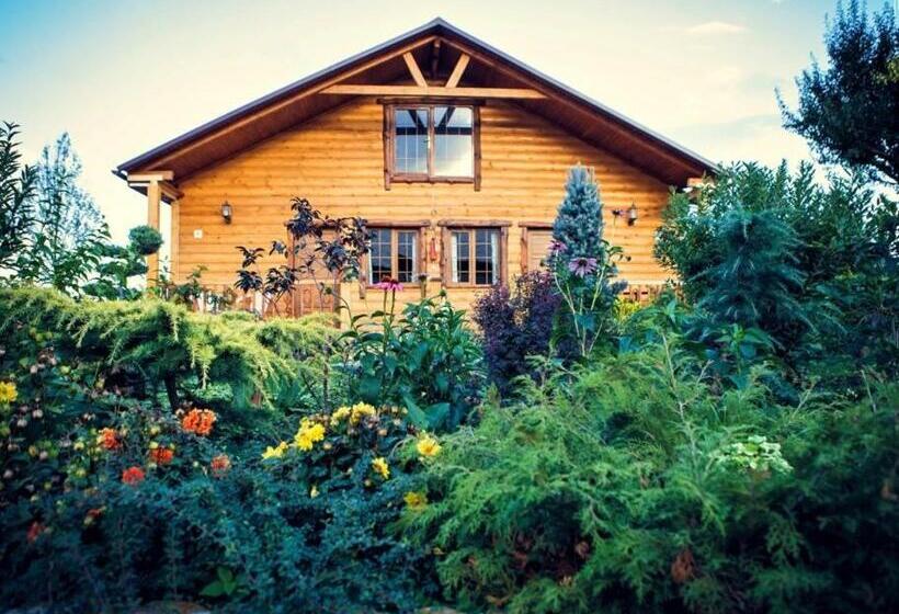 Номер Стандарт с Террасой, Grig House Eco Resort