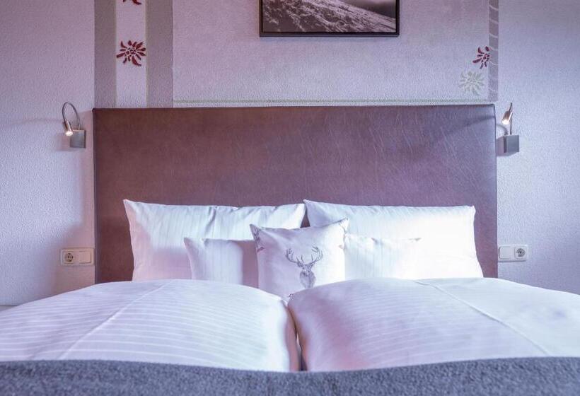 バルコニー付２ベッドルームアパートメント, Patteriol Apart Hotel Garni