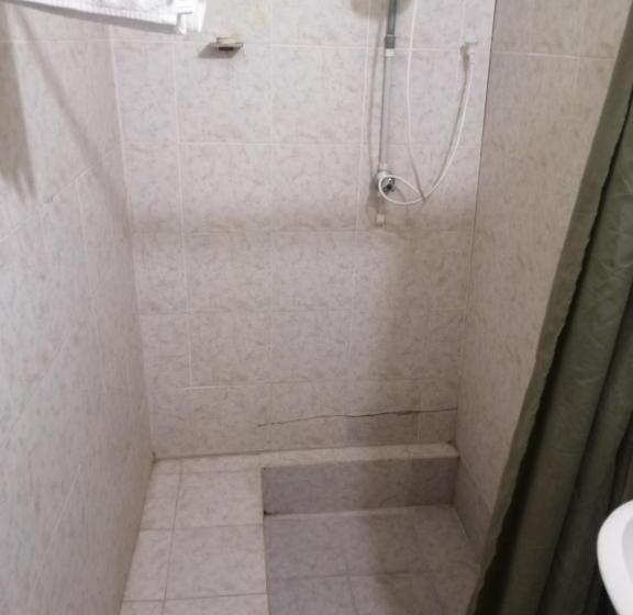 استودیوی استاندارد, Tonys Guest House