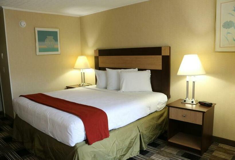 Стандартный Номер Кровать Кинг, Castlewood Inn