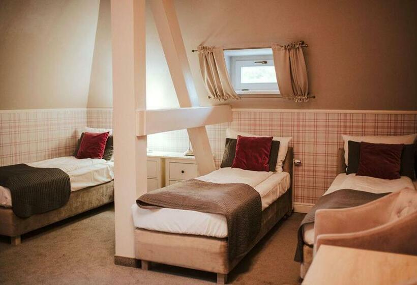 Номер Стандарт Трехместный, Dębowy Biowellness & Spa Góry Sowie