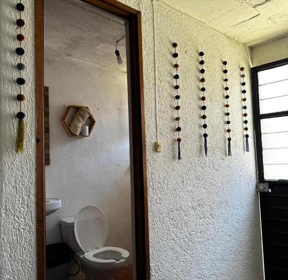Номер Стандарт, B61 Hostal