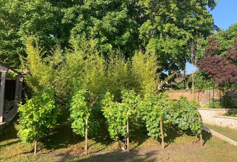 Номер Стандарт, Pierres Et Jardins