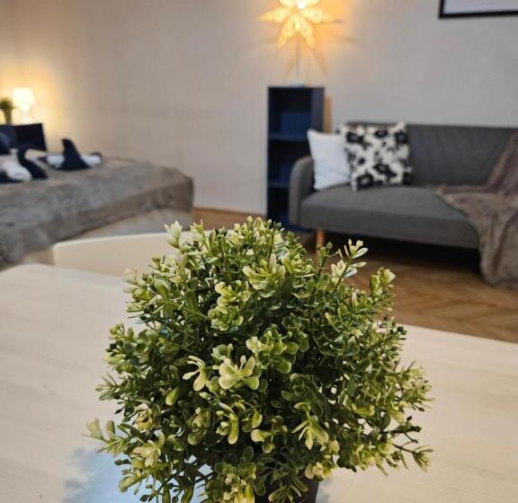 带2个卧室的套房, Chic Central Rooms