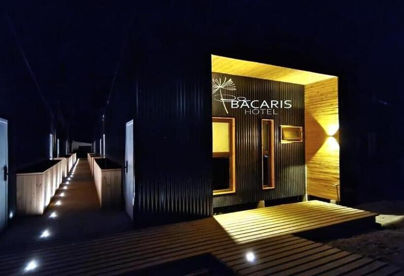 Апартаменты 1 Спальня, Bacaris