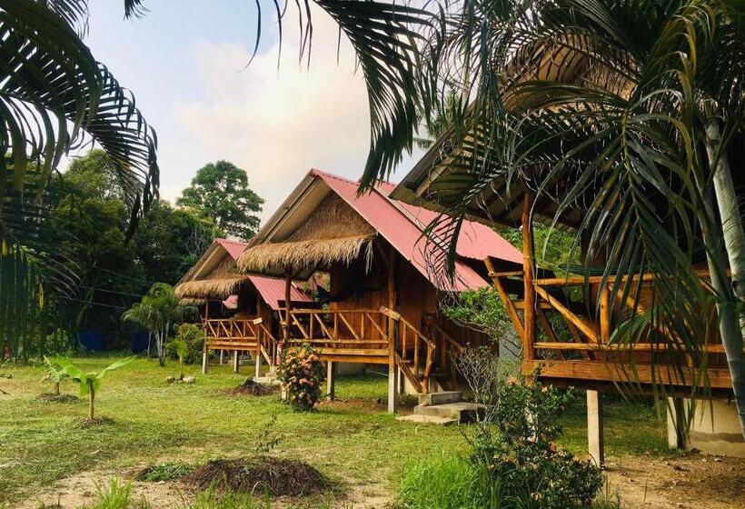 Бунгало Стандарт, Seree Bungalows