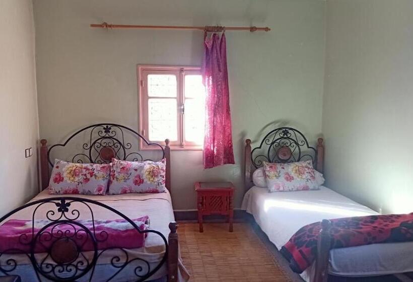 اتاق استاندارد چهار تخته, Hôtel Hicham