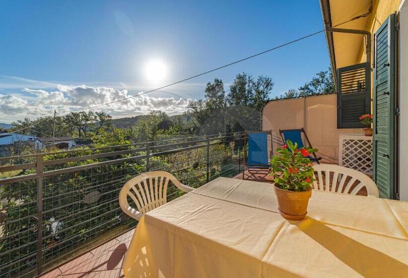 Студио Стандарт с Террасой, Residence Gli Olmi   Goelba