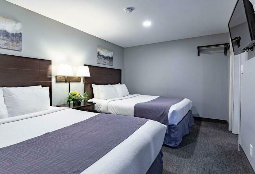 Suite Familiar, Mt Madison Inn & Suites