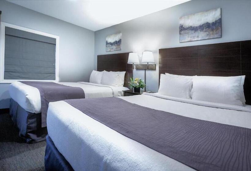 Habitación Deluxe, Mt Madison Inn & Suites
