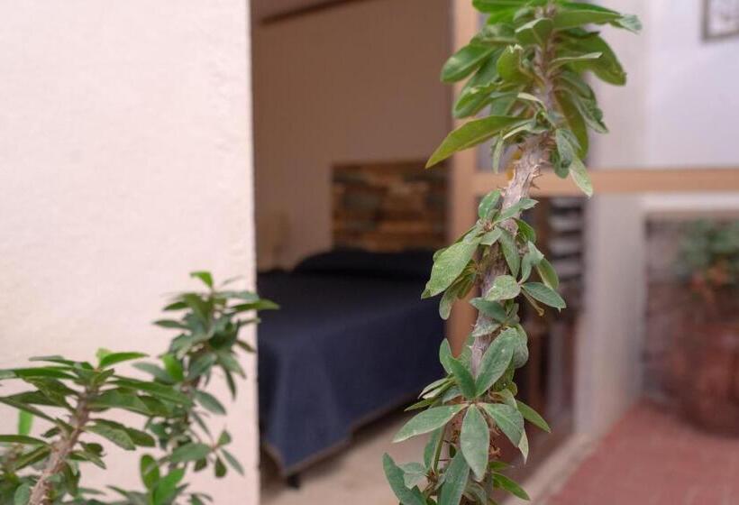 חדר סטנדרט, Estancia Mixtecas
