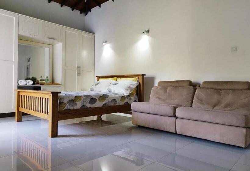 Номер Deluxe, Boztreve Home