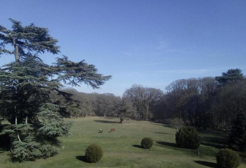 Люкс, Chateau Du Guérinet D Orchaise