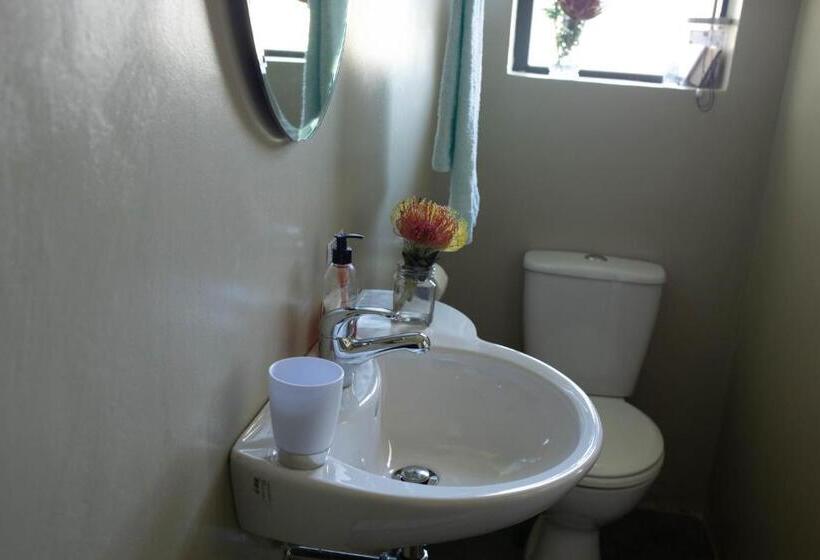 Номер Стандарт, Stay At Friends Economic Rooms