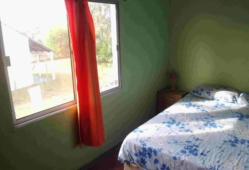 스탠다드 룸, Hostel Lo De Milton
