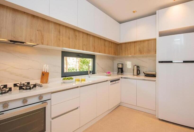 آپارتمان 1 خوابه با چشم‌انداز باغ, Asfiya Loft Apartments