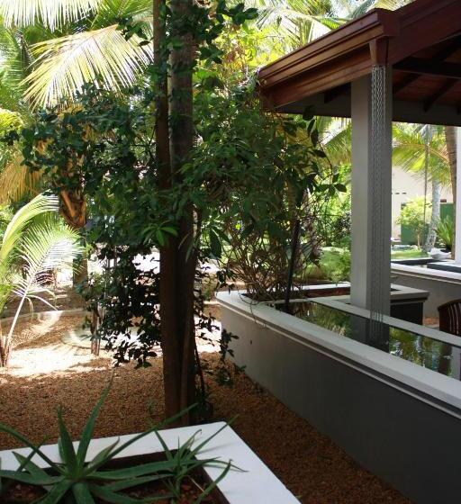 חדר דלוקס, Aliya Lanka