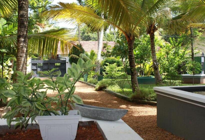 חדר דלוקס, Aliya Lanka