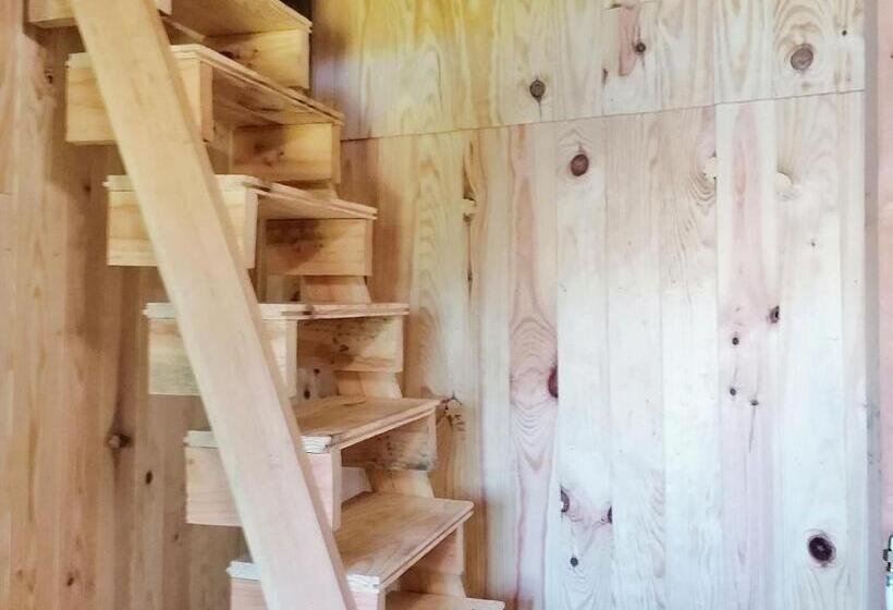 Номер Стандарт, Cabane Perchée Avec Terrasses, Salle De Bain, Kitchenette, Petit Déjeuner Inclus Et Accès Piscine