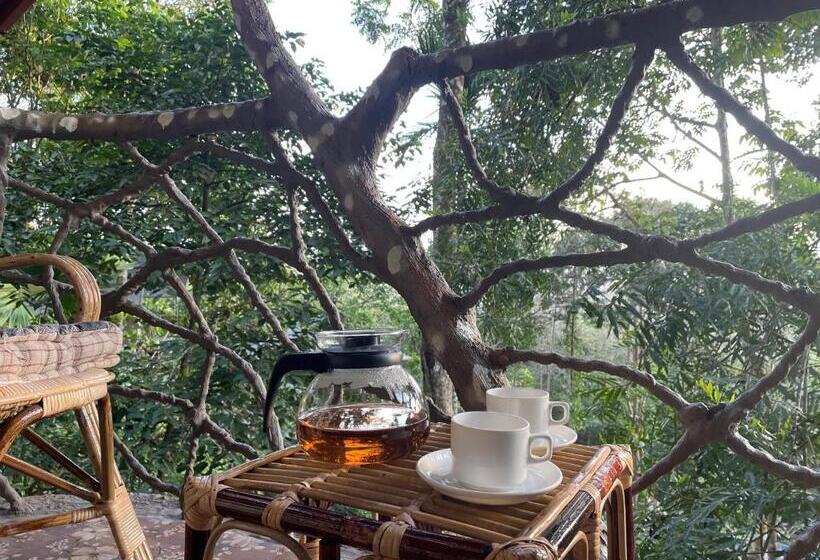 디럭스 룸, Panchavadi Farm Stay