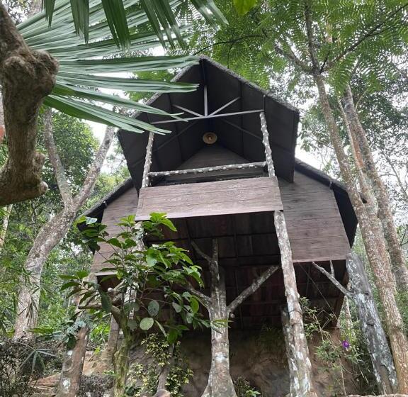 스탠다드 룸, Panchavadi Farm Stay