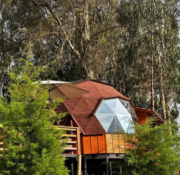 Номер Стандарт с Гидромассажем, Glamping Shalom