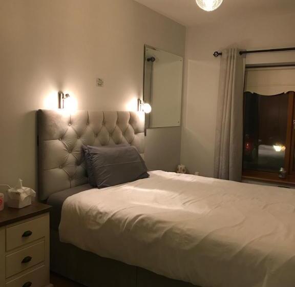 Номер Стандарт, Laithreach Briuin B&b W23e0h9