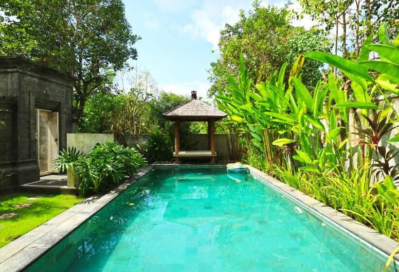 ویلای 2 خوابه, Avisara Villa & Suite