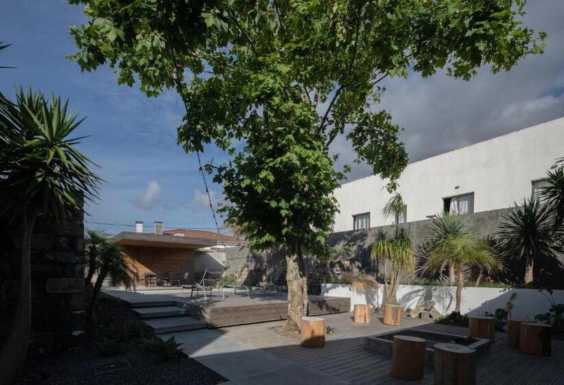 Номер Стандарт, North Shore Hostel