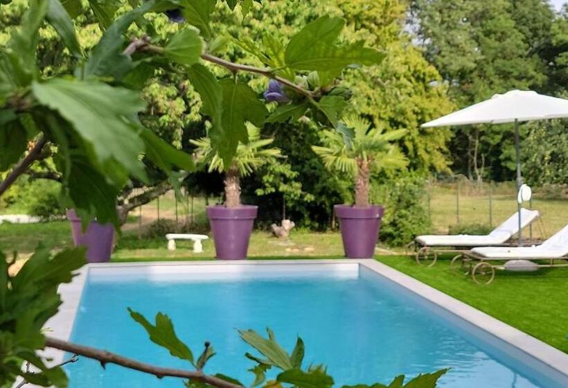 سوییت خانوادگی, Domaine Bassy