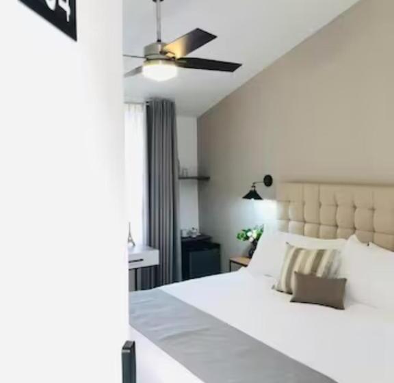 Quarto Estandar, Urban Chapalita