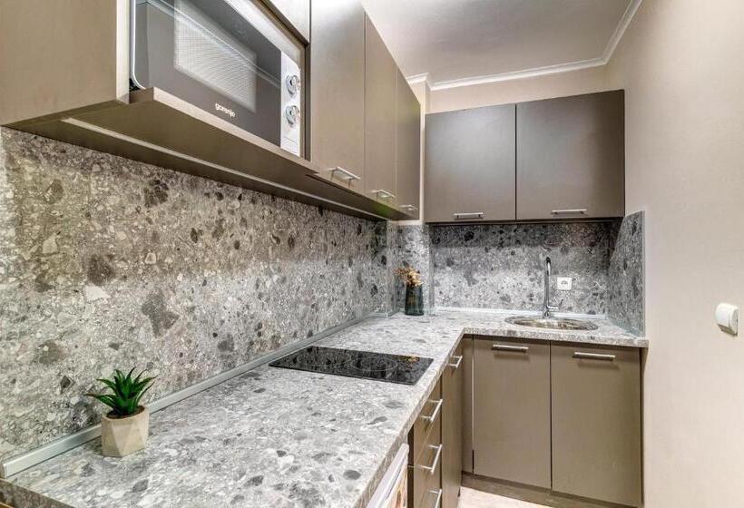 带1个卧室的公寓, Dream View Apartments